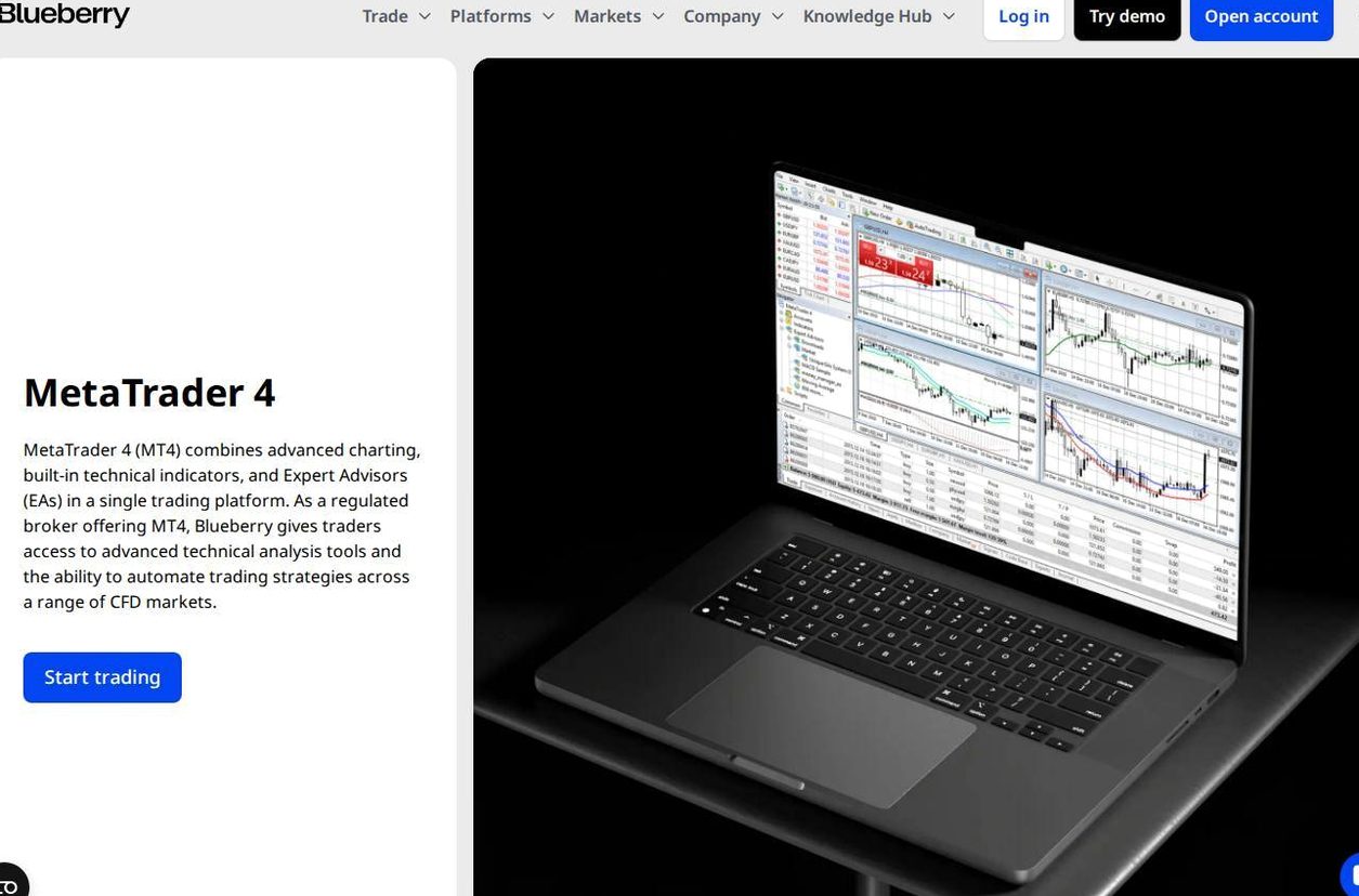 The platform page on the Blueberry Markets website